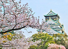 【圆桌】从年初争到年终 纳达尔德约谁是年度最佳?